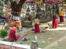 Prosternations de Tibétains dans l'enceinte du temple de (...)