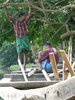 Construction d'une pirogue